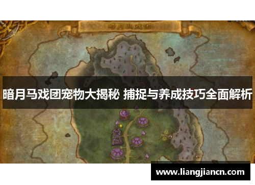 暗月马戏团宠物大揭秘 捕捉与养成技巧全面解析