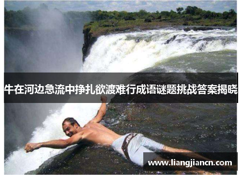 牛在河边急流中挣扎欲渡难行成语谜题挑战答案揭晓